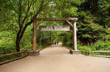 Muir Woods and Sausalito Tour Plus Bay Cruise
