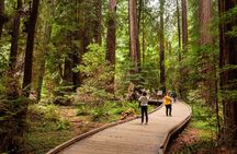 Muir Woods and Sausalito Tour Plus Bay Cruise