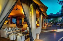 4 Day Serengeti Luxury Tented Camps Safari