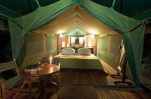 4 Day Serengeti Luxury Tented Camps Safari