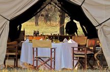 4 Day Serengeti Luxury Tented Camps Safari