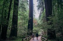 Muir Woods & Wine Country