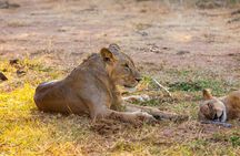 3-Day Samburu safari from Nairobi