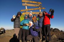7 Days Kilimanjaro Trekking Machame Route with Professional Guide