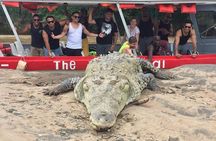 Crocodile Safari Expedition & Carara National Park. Private Tour