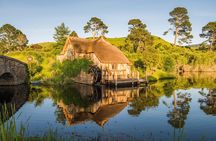 Auckland to Rotorua via Hobbiton Small Group Tour (One Way)