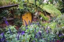 Auckland to Rotorua via Hobbiton Small Group Tour (One Way)