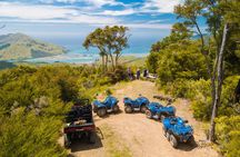 Quad Bike - Bayview Circuit