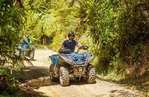 Quad Bike - Bayview Circuit