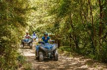 Quad Bike - Bayview Circuit