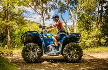 Quad Bike - Bayview Circuit