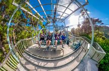 SKYWIRE Experience