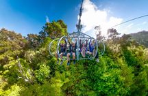 SKYWIRE Experience