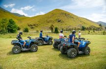 Quad Bike - Farm Forest Ride