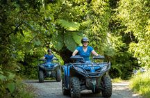 Quad Bike - Farm Forest Ride