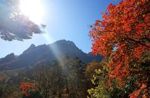 2-days: Real Hiking to Mt Seorak Summit(1,708m) with Professional Mountaineer