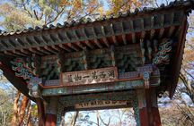 Songnisan National Park & Beopjusa Temple UNESCO site Private Tour