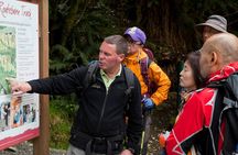 Full-Day Routeburn Track Key Summit Guided Walk from Te Anau