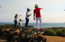 Roatan ATV Sightseeing, Sloth & Monkeys, Chocolate & Rum Factory