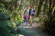 Full-Day Routeburn Track Key Summit Guided Walk from Te Anau