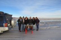 Uyuni Salt Flats: Full Day Shared Tour with english speaking guide