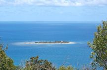 Country Tour (2h30) included Tjibaou Cultural Center & Church
