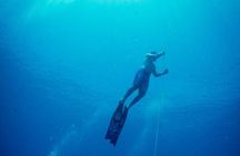 Padi Freediver, learn how to freedive and get your first license (at Koh Chang)