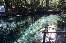 Classic Ometepe Island