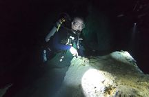 Tulum cenote diving. The real mayan underworld