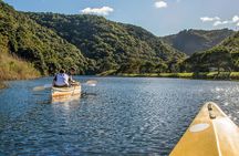 3 Day Garden Route's Best Highlights with Safari from Cape Town