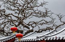 4-Hour Private Forbidden City Walking Tour with Bird's ViewOption