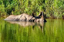 2 Nights Chitwan Luxury Tour from Kathmandu or Pokhara