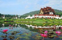 Half Day Tour of Wat Doi Suthep & Phu Ping Palace from Chiang Mai