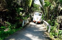 Authentic Mekong Delta Private Day Tour from Ho Chi Minh City