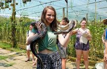 Classic Mekong Delta Basic Small Group Tour