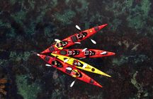 Half Day Kayak - Northern Explores AS