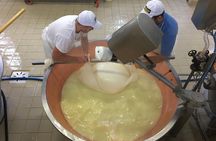 Parma Food Valley Gourmet Private Tour Easy