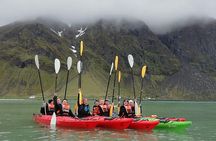 Half Day Kayak - Northern Explores AS