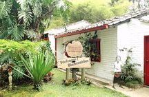 Private Tour to Coffee Farm Hacienda Coloma: Tickets, Guide, 8hr