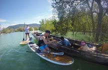 Mangroves SUP Tour Phuket