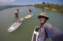 Mangroves SUP Tour Phuket