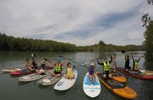Mangroves SUP Tour Phuket