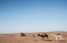 4 day desert tour From Fez to Marrakech Through Merzouga, Valleys & Ouerzazat