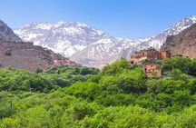 The Atlas Mountains and 3 Valleys Day Trip in 4x4