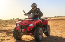 Quad bike and camel ride in the palm grove