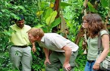 Munnar Tea valley Tour ( By Munnar Info)