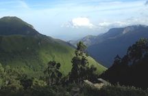 Munnar Tea valley Tour ( By Munnar Info)