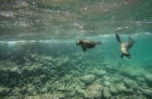 6 Days Active Travellers Island Hopping