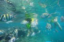 Discover Sosua's Underwater World & Beach Day