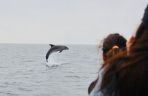 Alghero - Dolphin Watching (Spring & Autumn Tour)